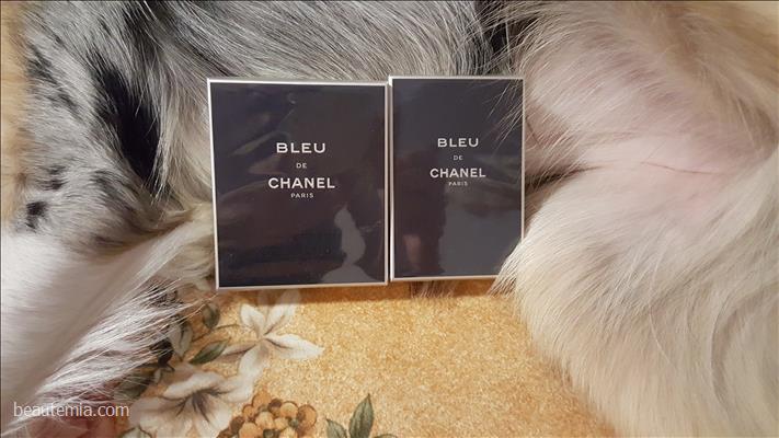 Chanel Review > Bleu de Chanel (First Impression)