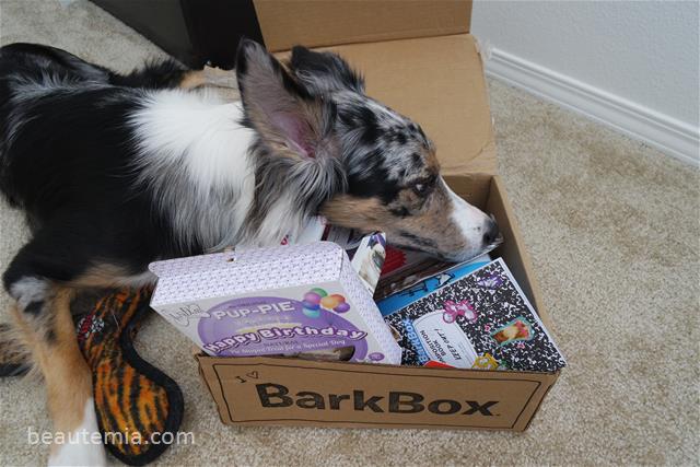 BarkBox