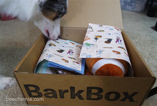 Thanksgiving, BarkBox, Border Collie, Dog Toys & Dog treats