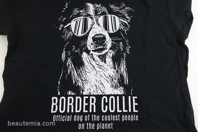 border collie, dog lovers, animal lovers & sunglasses