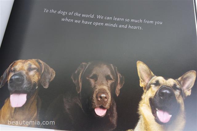Zen Dogs by Alexandra Cearns, dog training & cute puppies