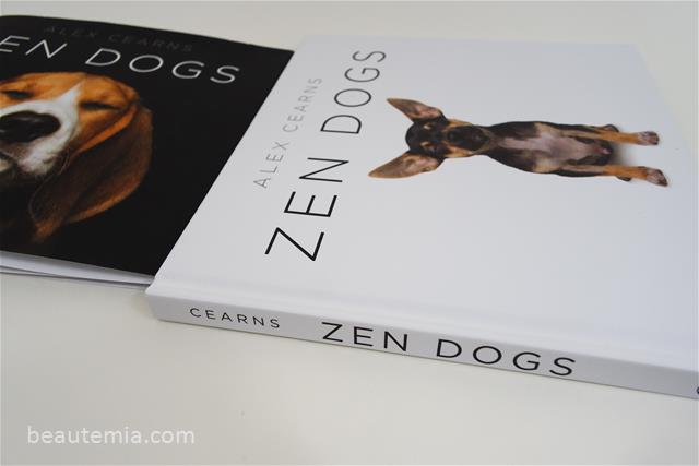 Zen dogs, cute & funny dogs