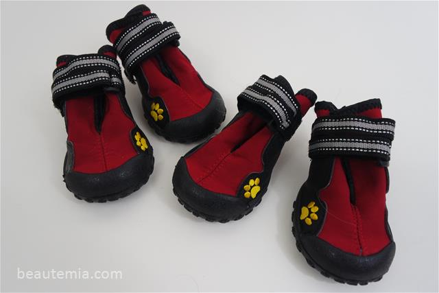 border collies & dog shoes