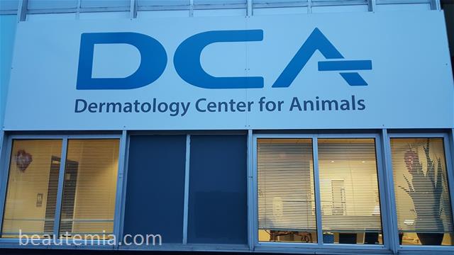 Dermatology Center for Animals, Dog allergy & border collies