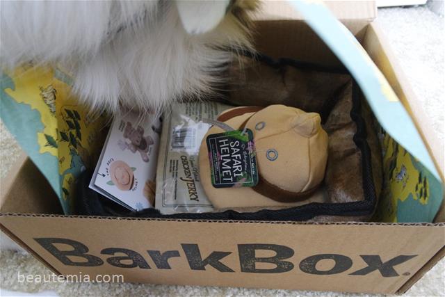 BarkBox, border collies, dog treats, dog toys & dog monthly subscription box