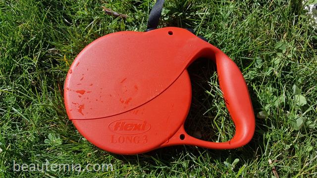West Paw Design Zogoflex Zisc Frisbee, Kong dog toy, flying dog toy, Flexi dog leash, border collies & BarkBox