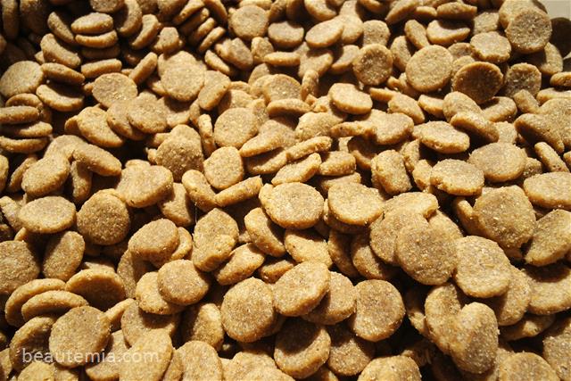 Natural Balance dry dog food vegetarian formula, border collie, royal canin, vegan, dog protein allergies & dog weight management