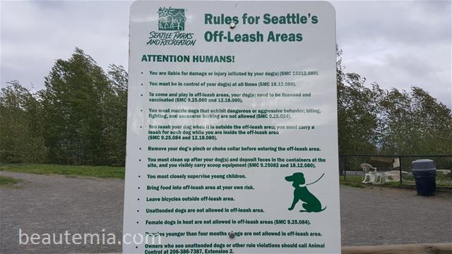 Warren G. Magnuson Park Off Leash Dog Area Review (Seattle, WA)